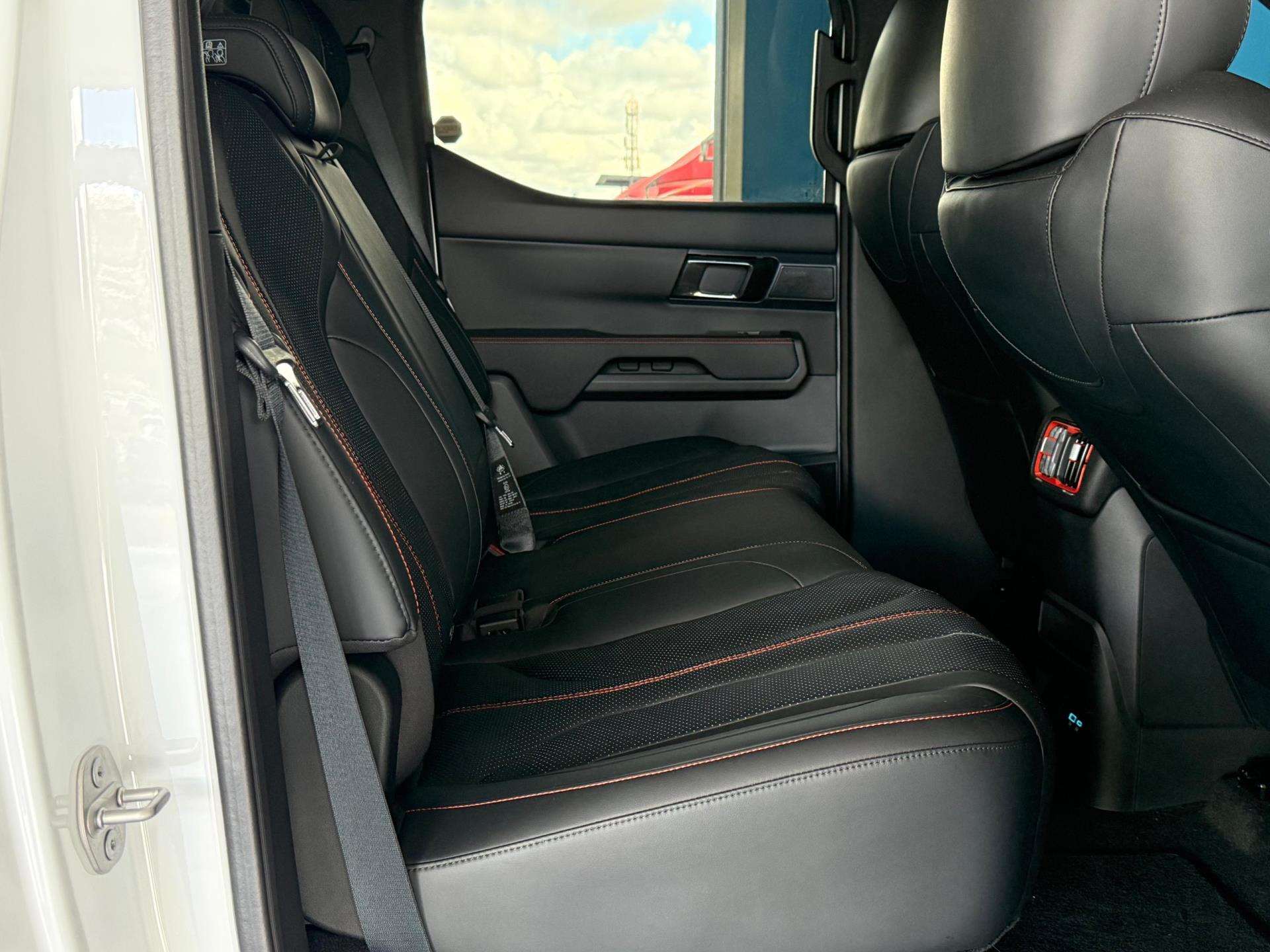 Byd Shark image 14