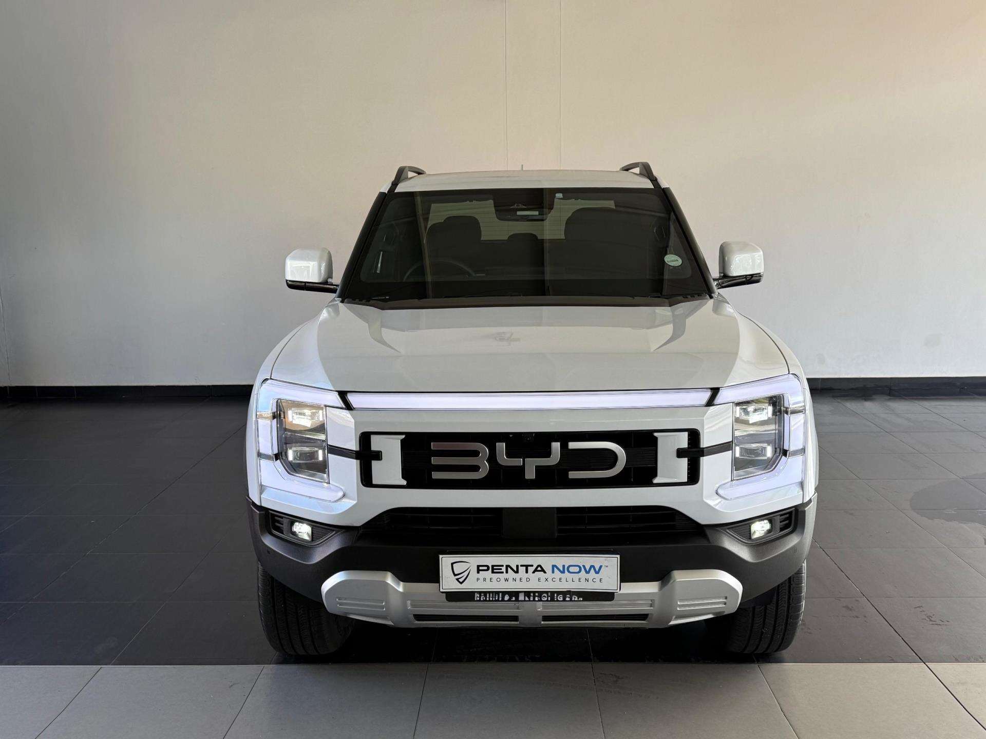 Byd Shark image 2